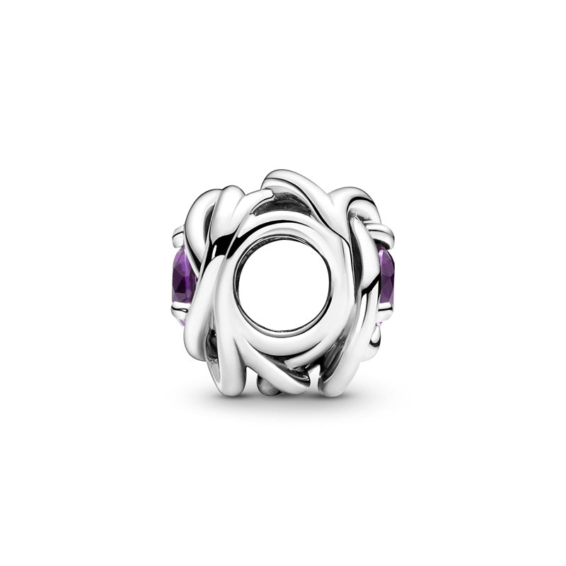 February Birthstone Eternity Circle Charm 790065C02