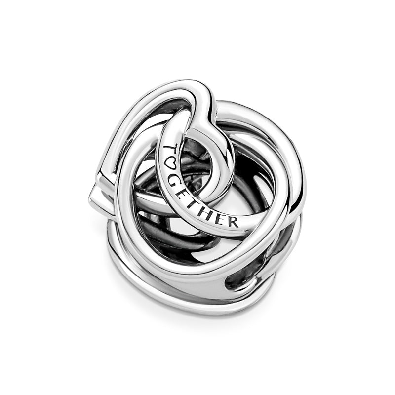 Family Always Encircled Heart Charm 791507C00