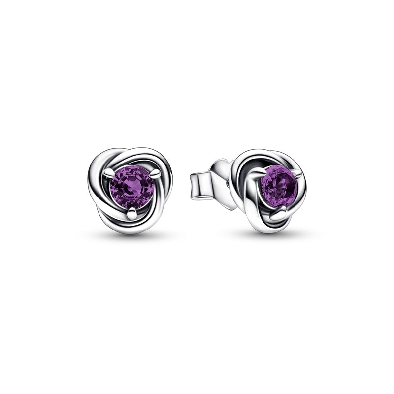 February Birthstone Eternity Circle Stud Earrings 292334C02
