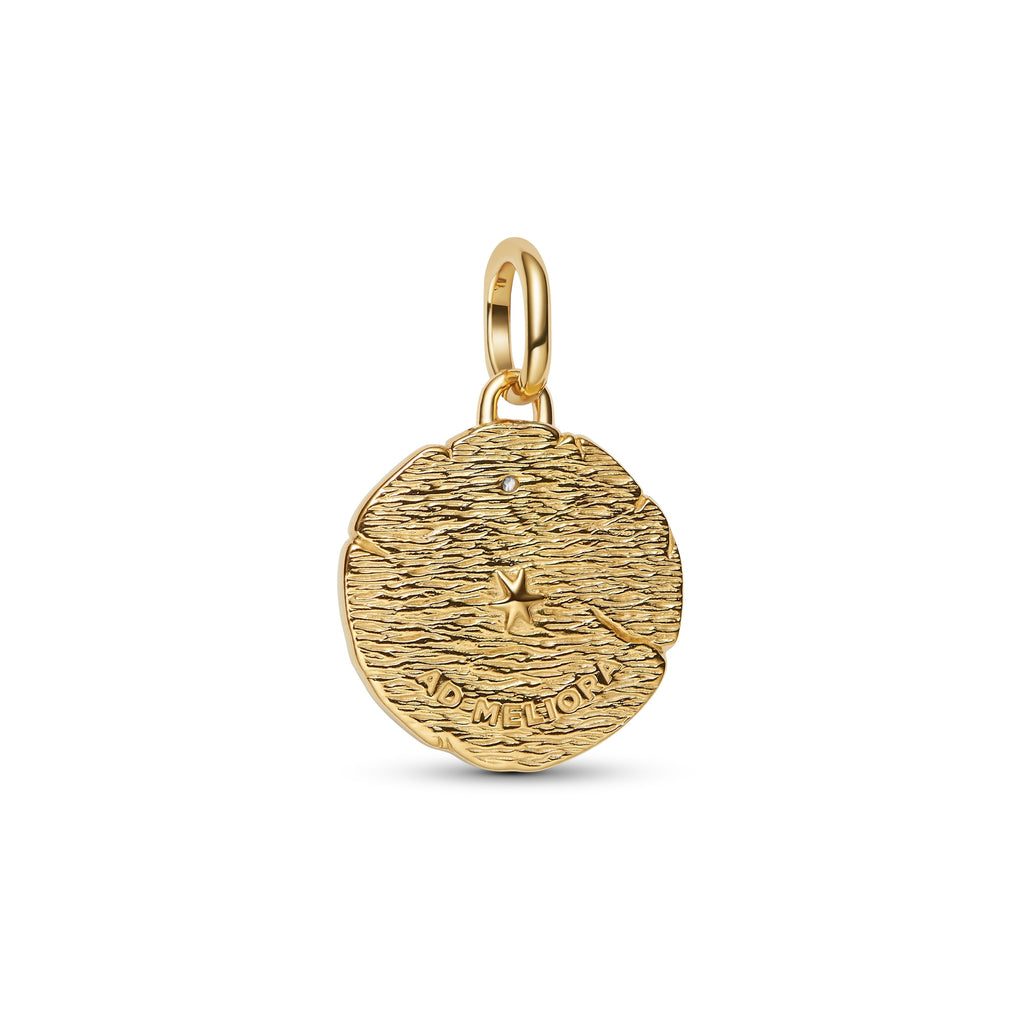 Crossing Arrows Medallion Charm