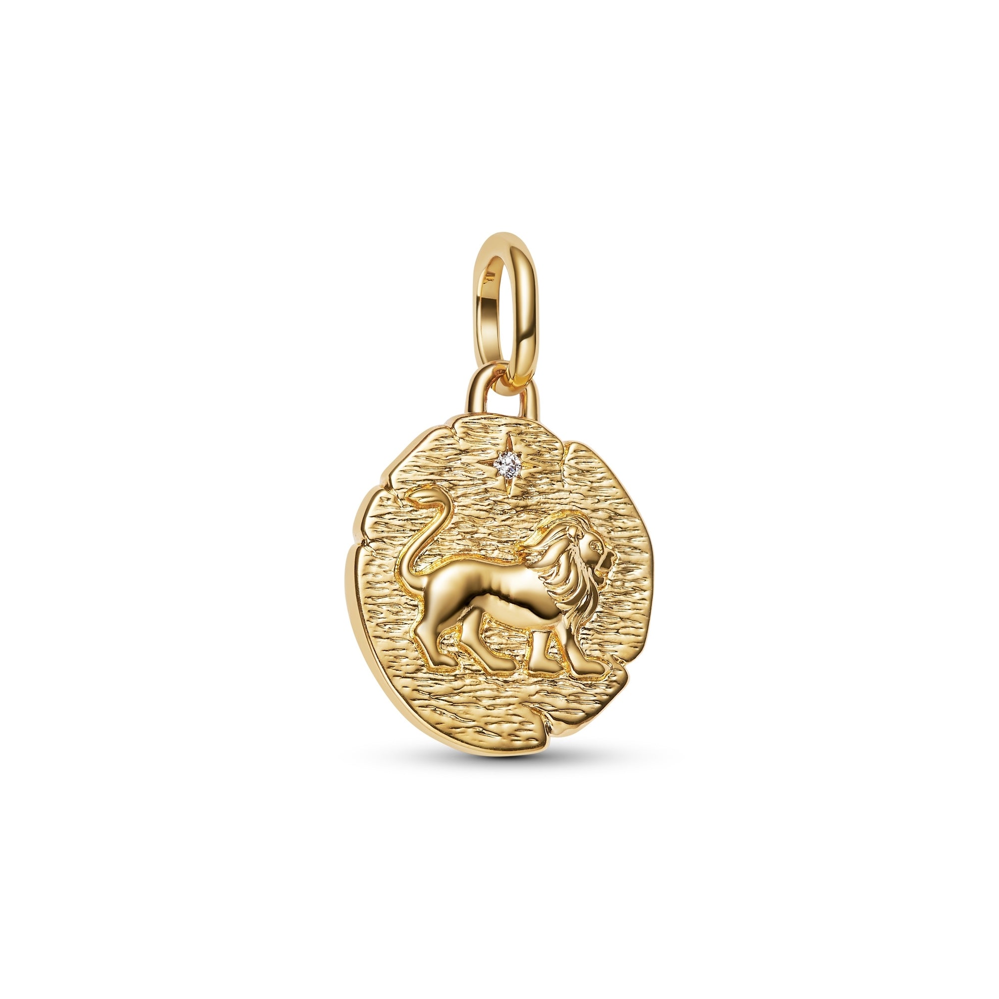 Lion Medallion Charm