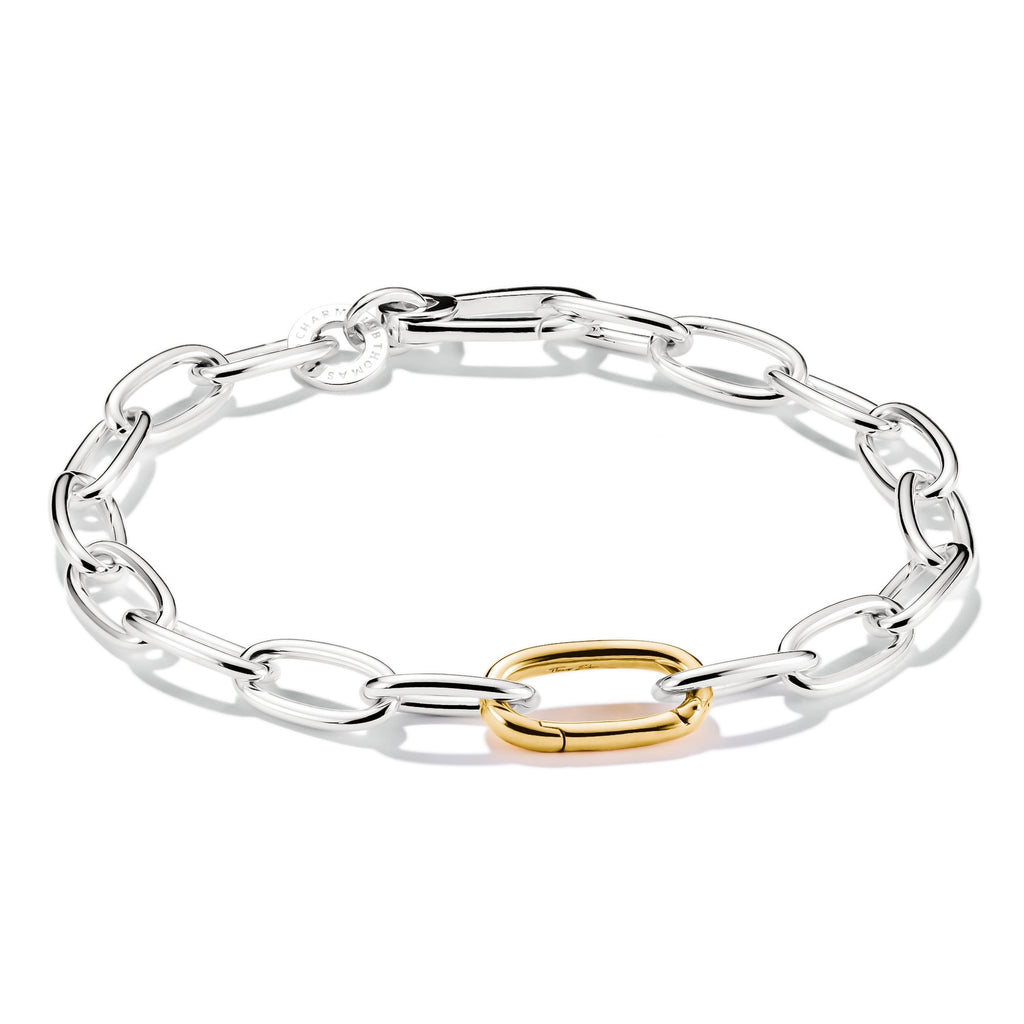 Charm Bracelet Bicolour with Connect Link Silver