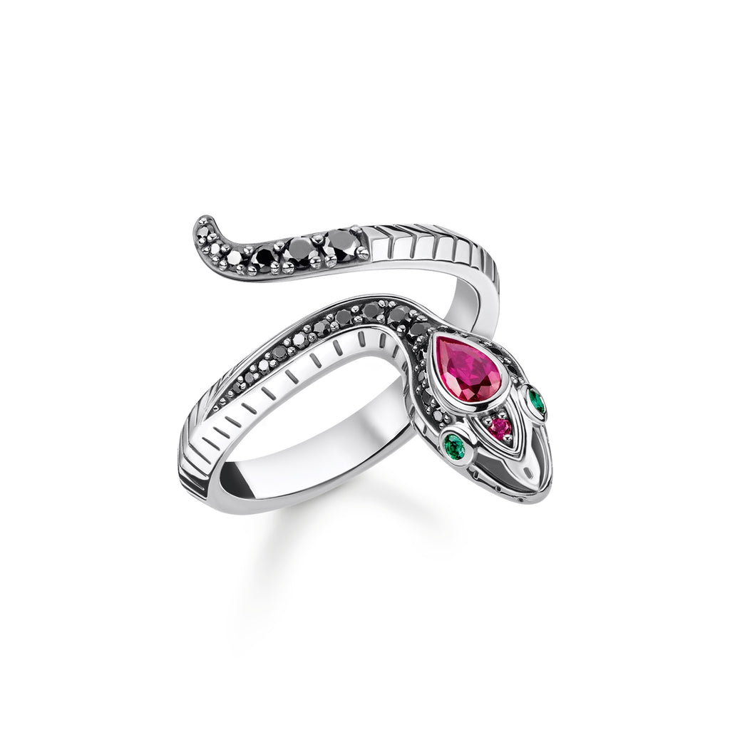 Ring Snake Silver