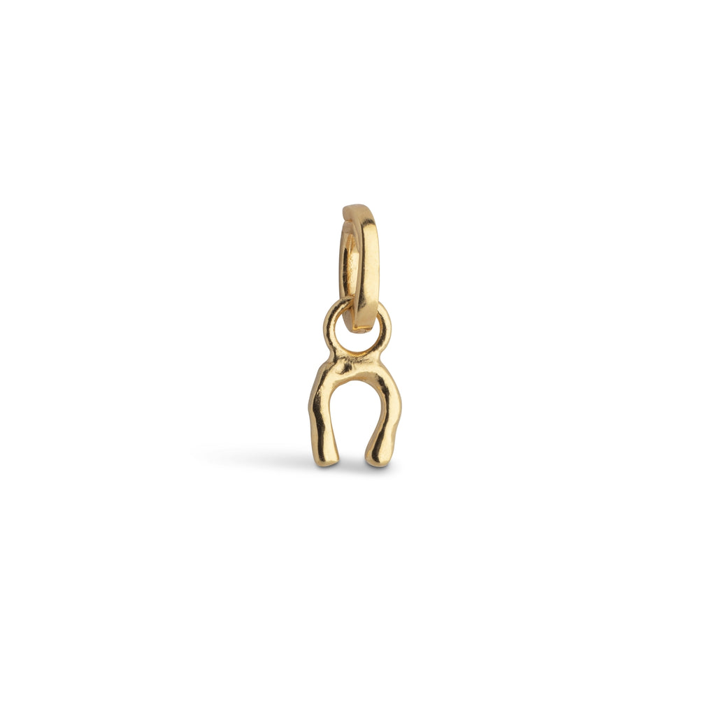Charm, Lucky Horseshoe