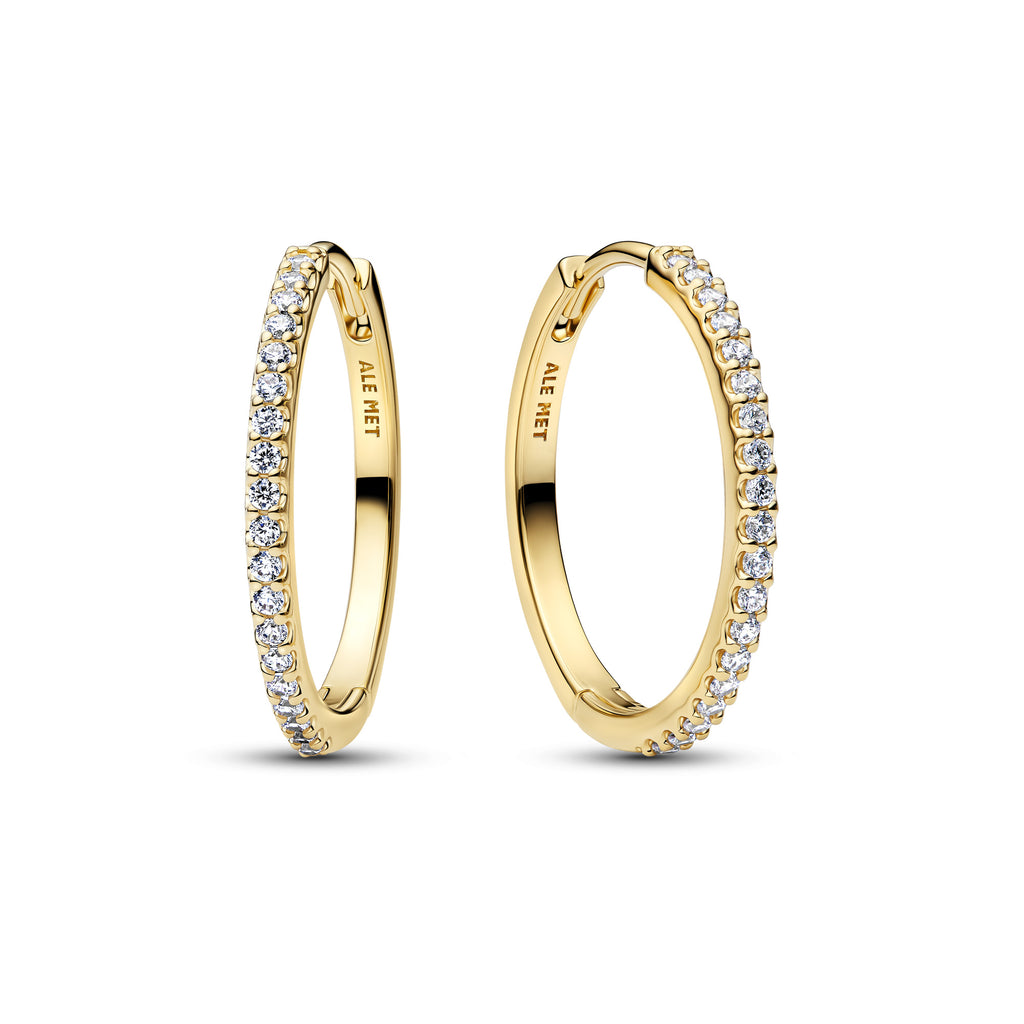 Sparkling Hoop Earrings