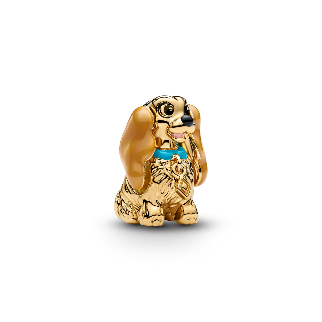 Disney Lady Charm