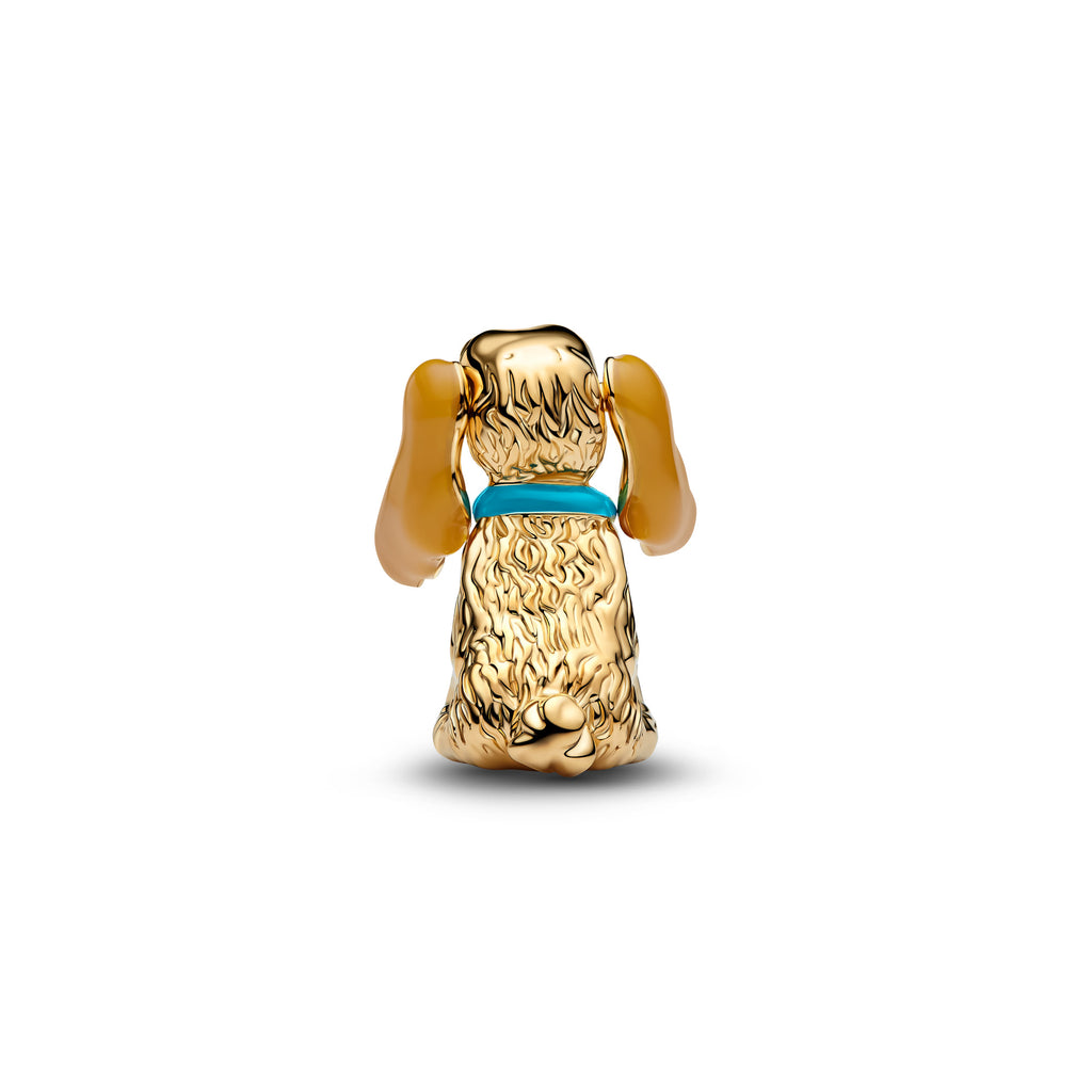 Disney Lady Charm