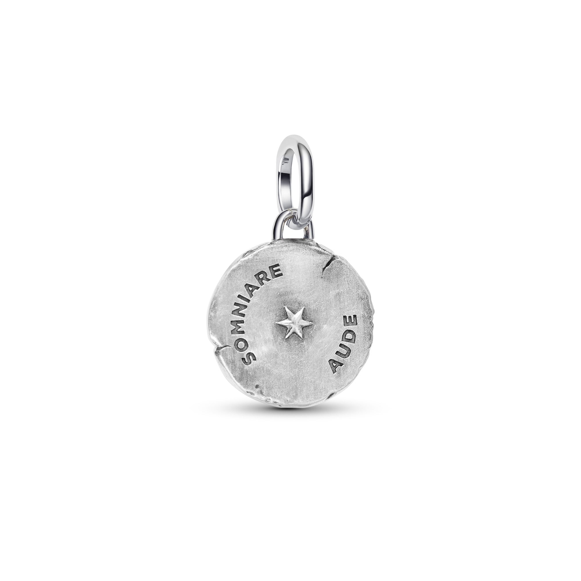 Butterfly Medallion Charm