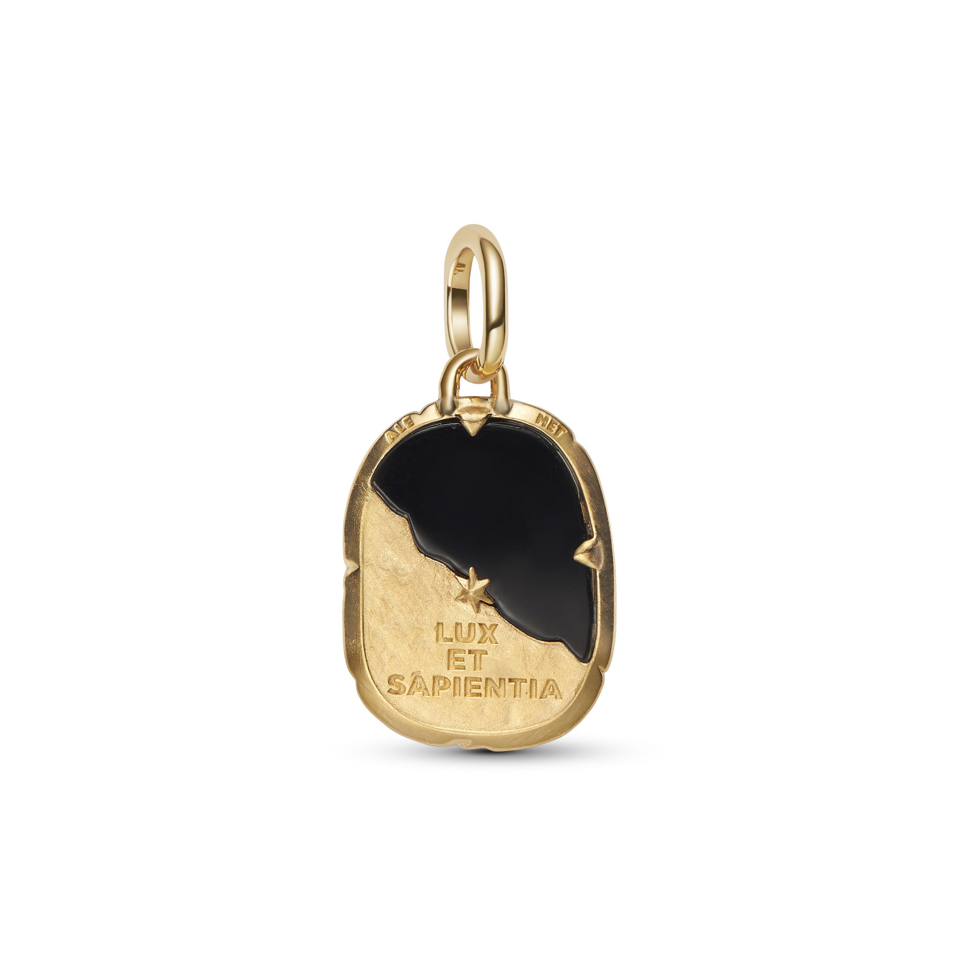 Owl Medallion Charm