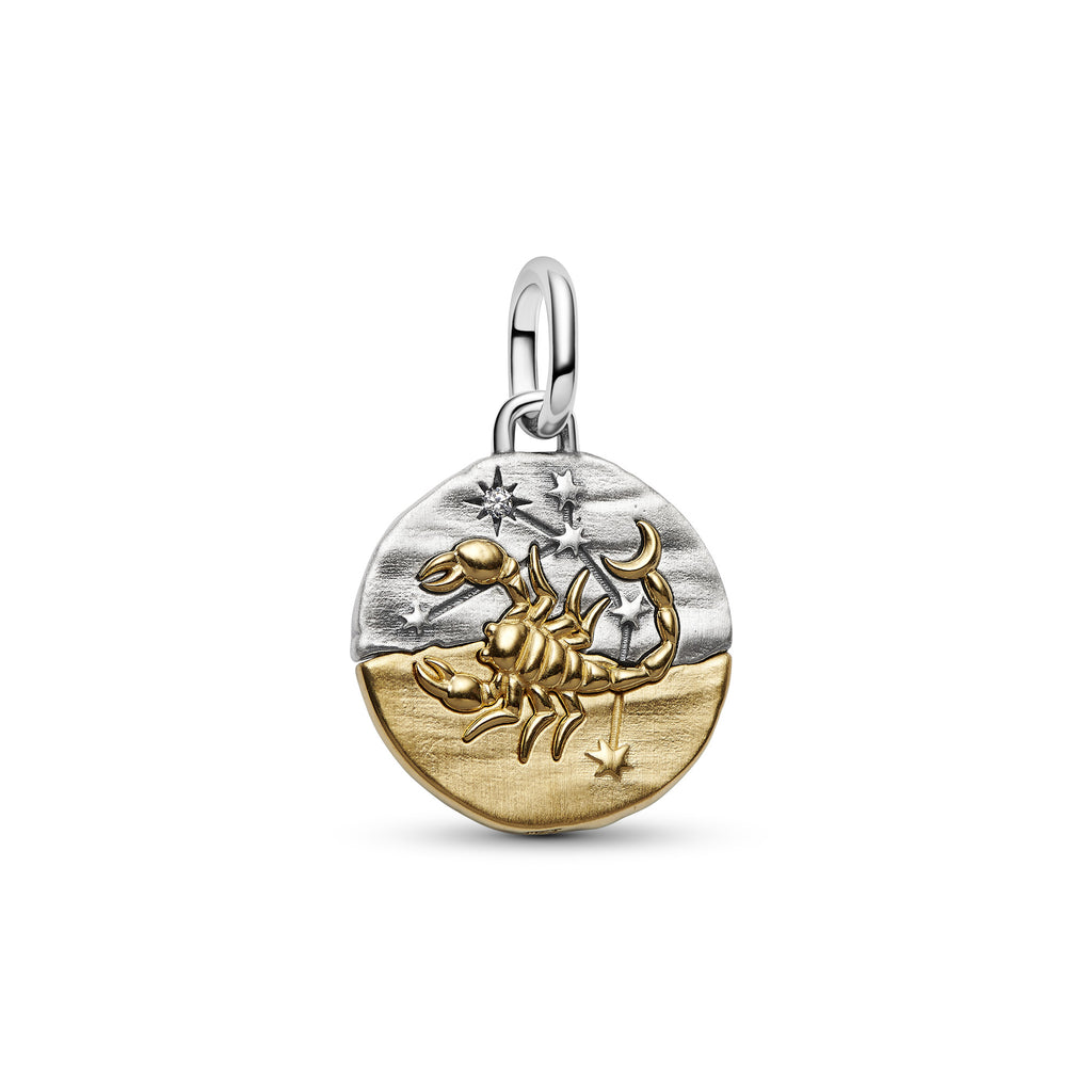 Scorpio Zodiac Medallion Charm