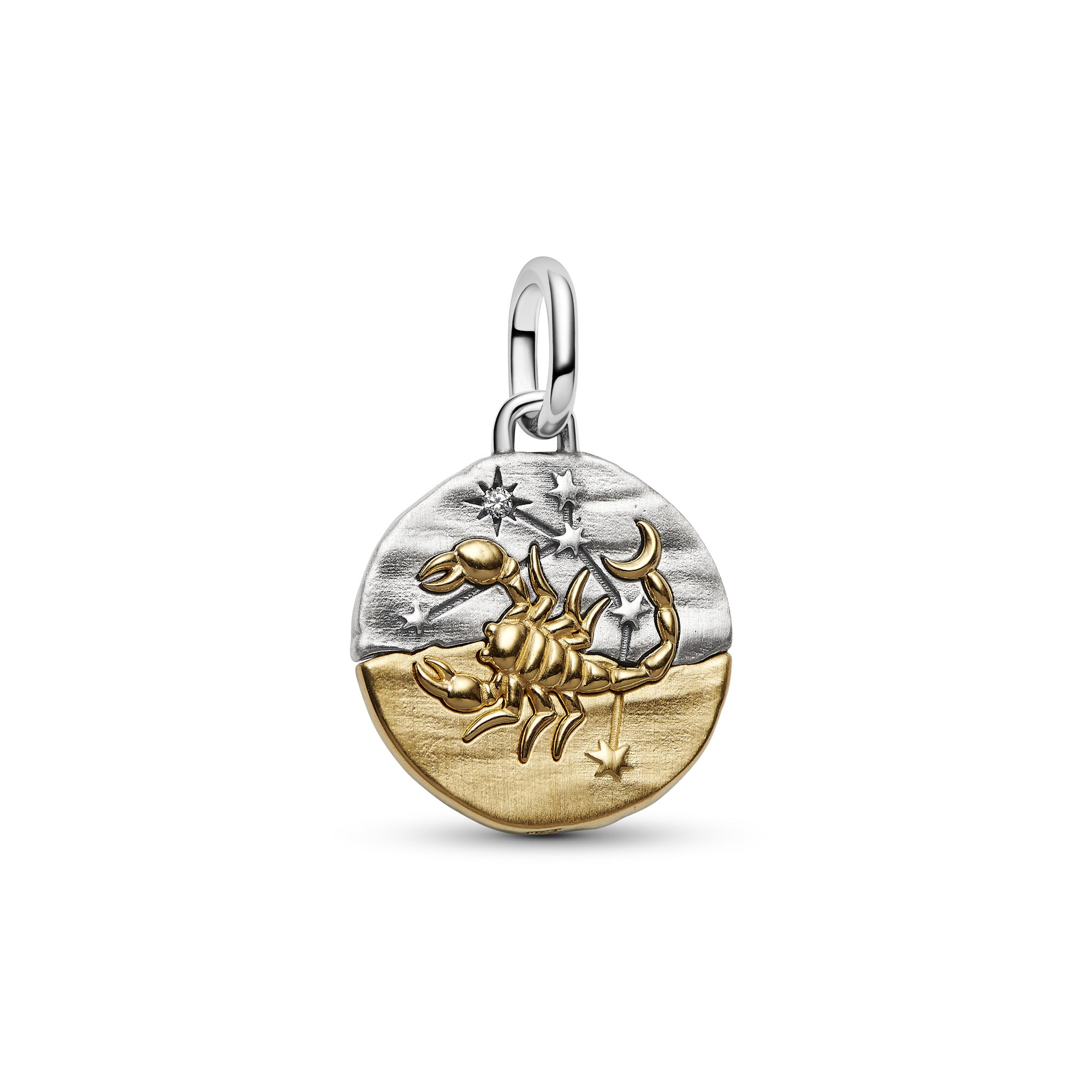 Scorpio Zodiac Medallion Charm