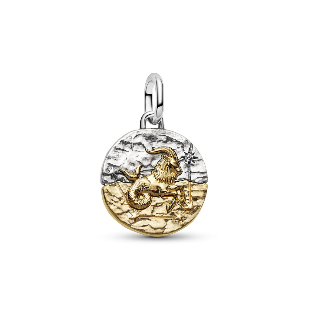 Capricorn Zodiac Medallion Charm