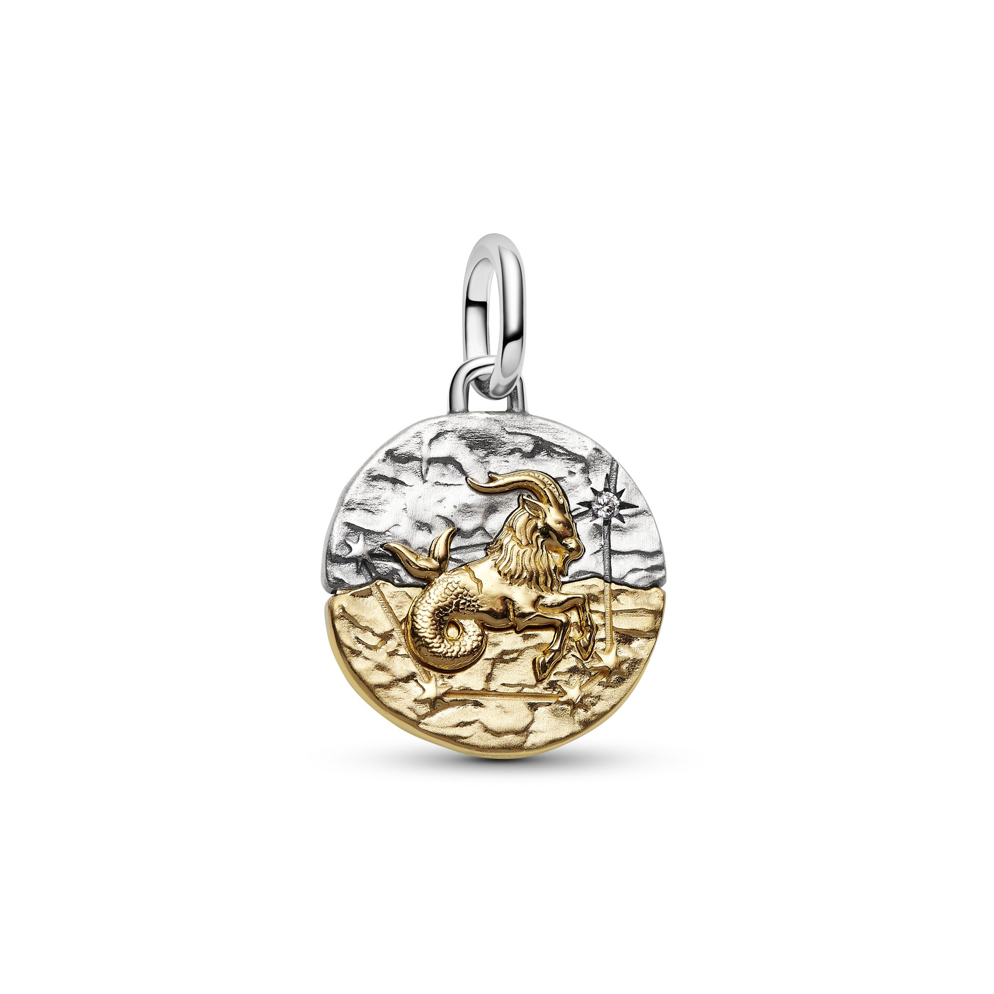 Capricorn Zodiac Medallion Charm