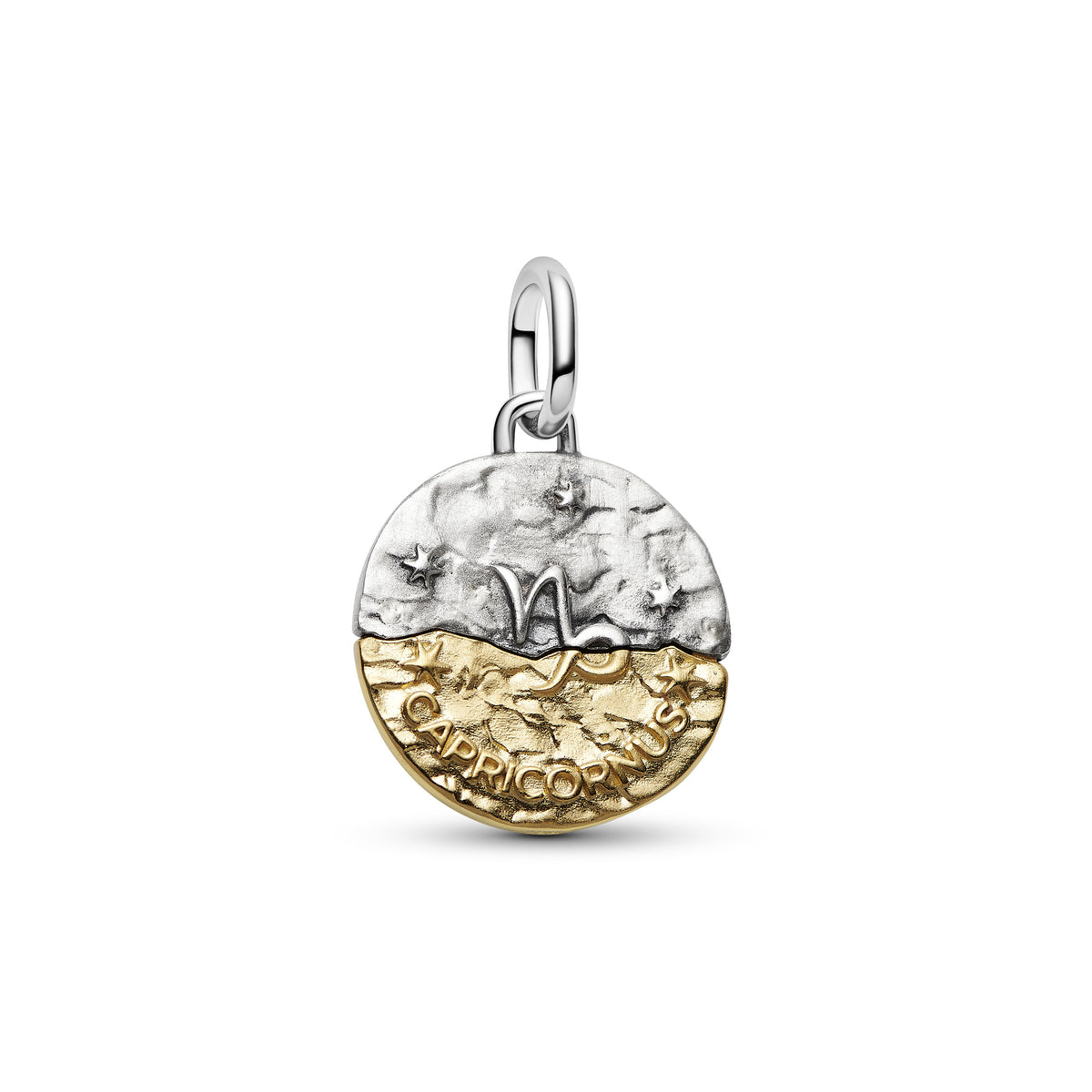 Capricorn Zodiac Medallion Charm
