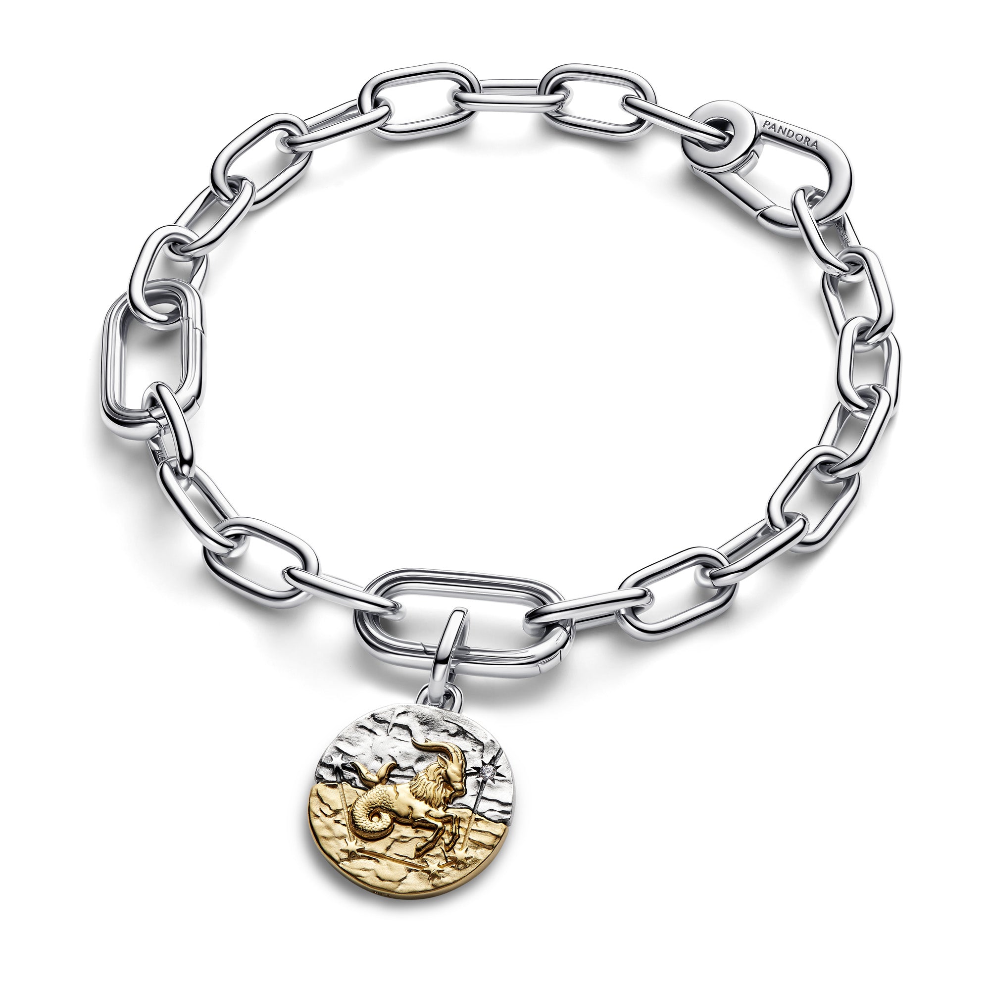 Capricorn Zodiac Medallion Charm