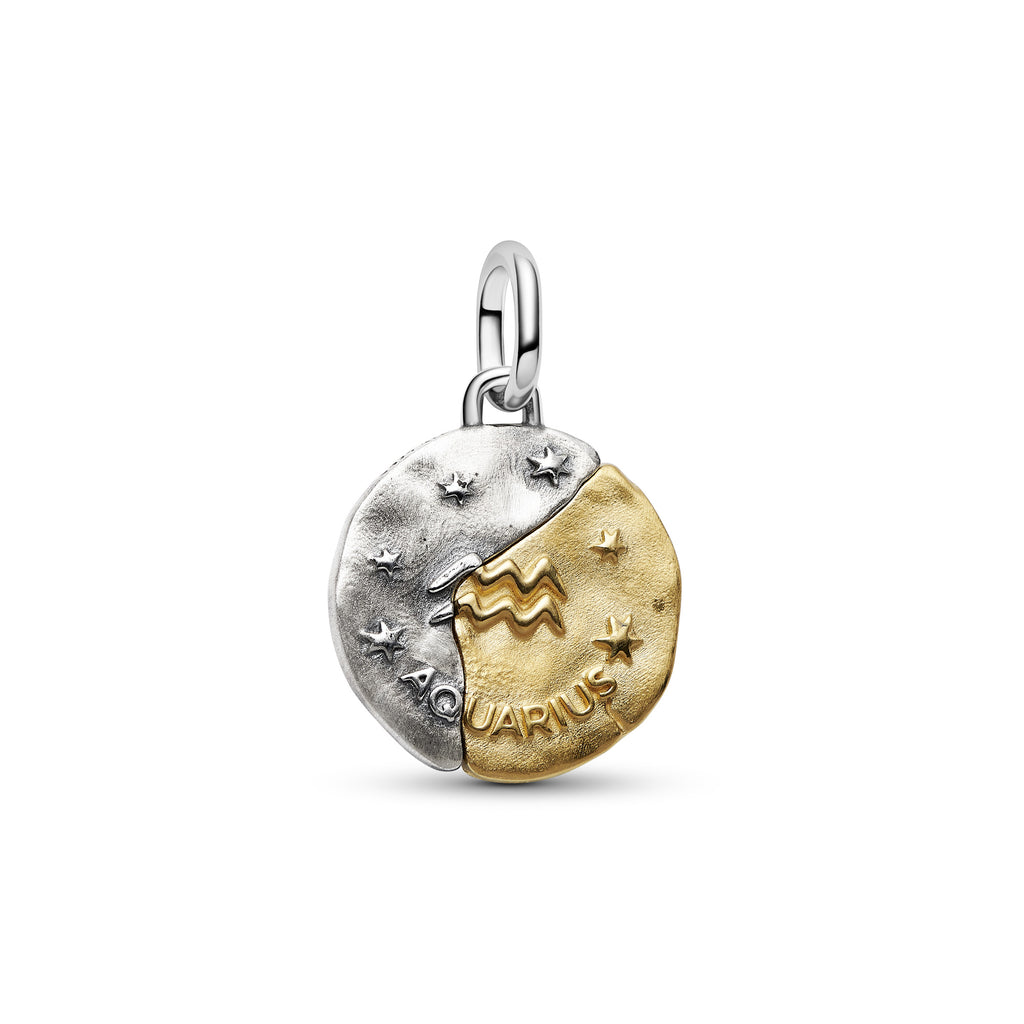 Aquarius Zodiac Medallion Charm