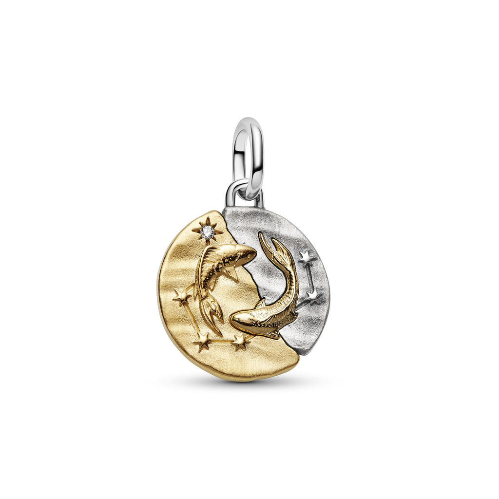 Pisces Zodiac Medallion Charm