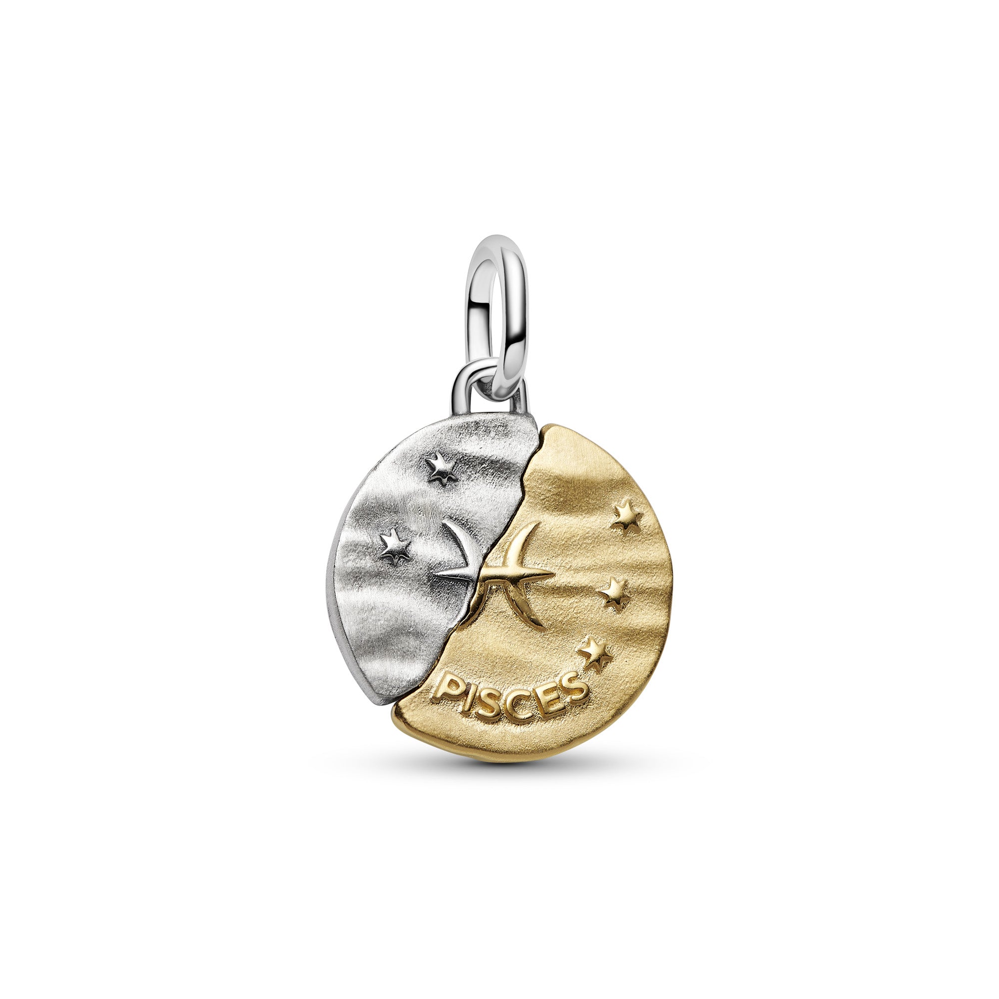 Pisces Zodiac Medallion Charm
