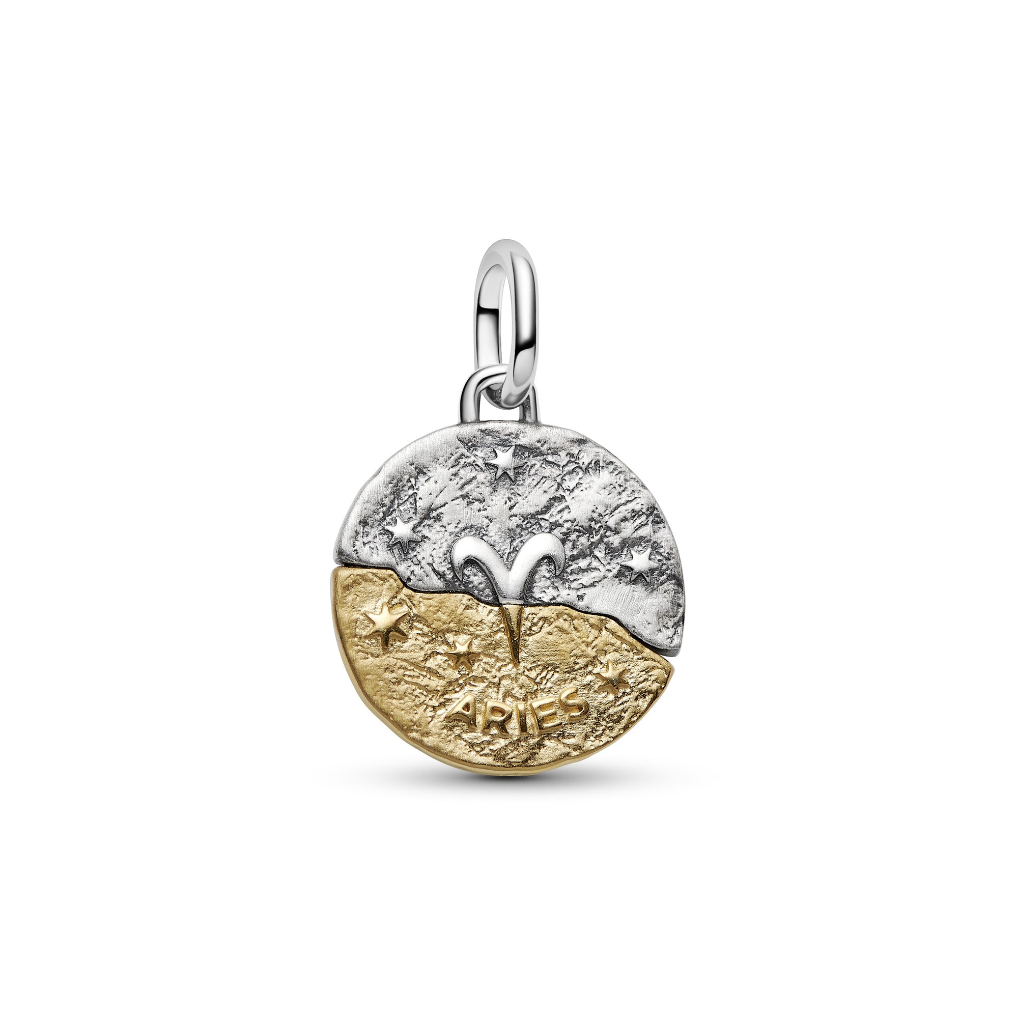 Aries Zodiac Medallion Charm