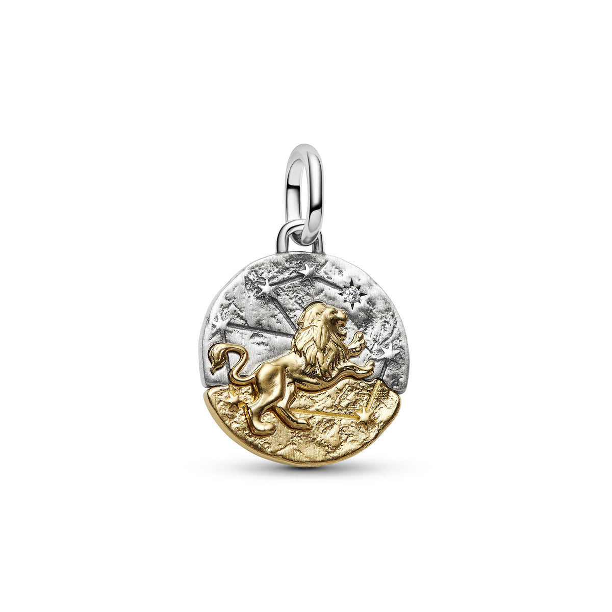 Leo Zodiac Medallion Charm