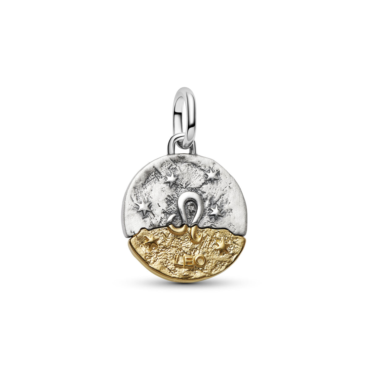 Leo Zodiac Medallion Charm