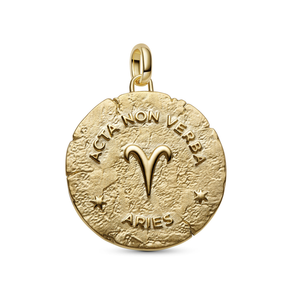 Aries Zodiac Oversized Medallion Charm