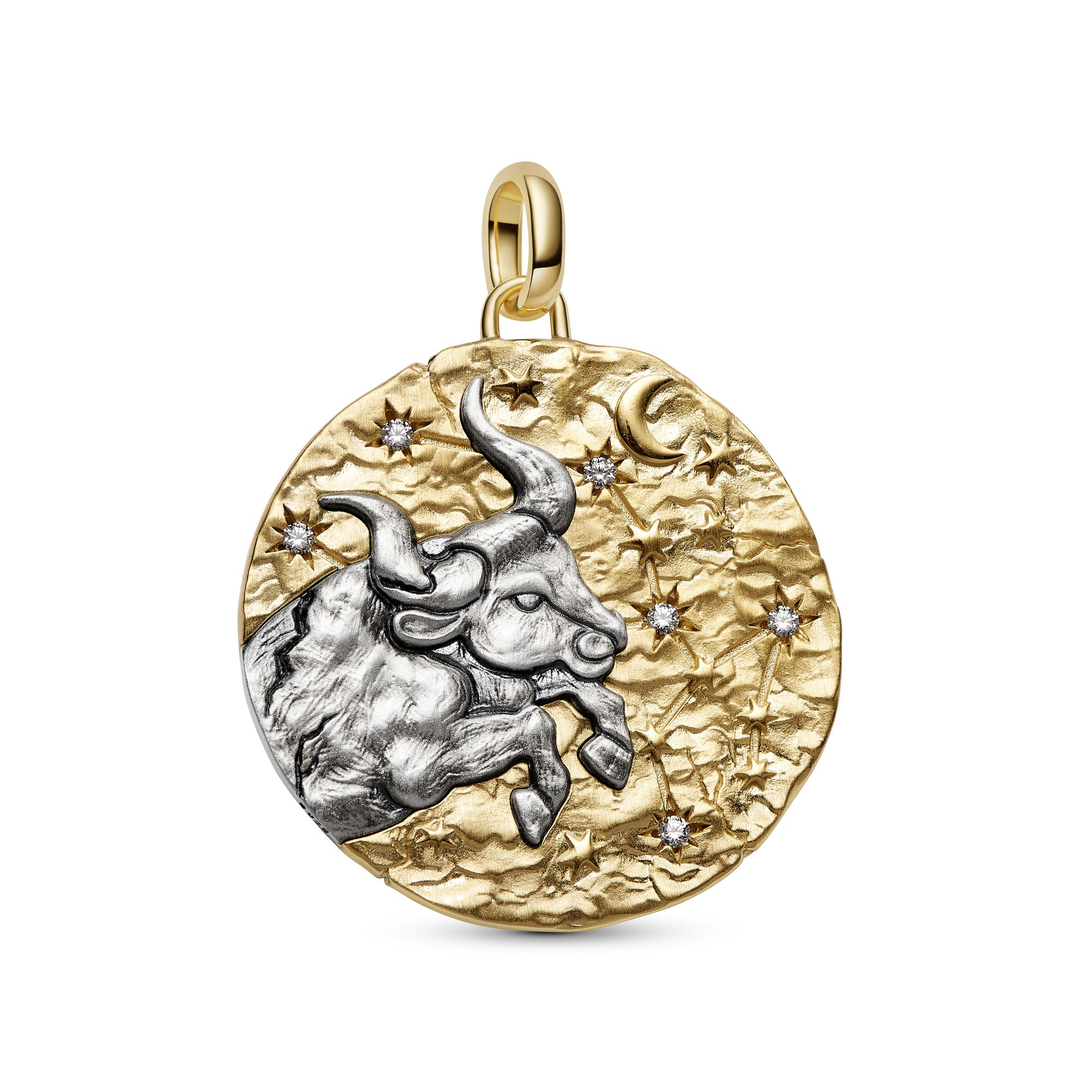 Taurus Zodiac Oversized Medallion Charm