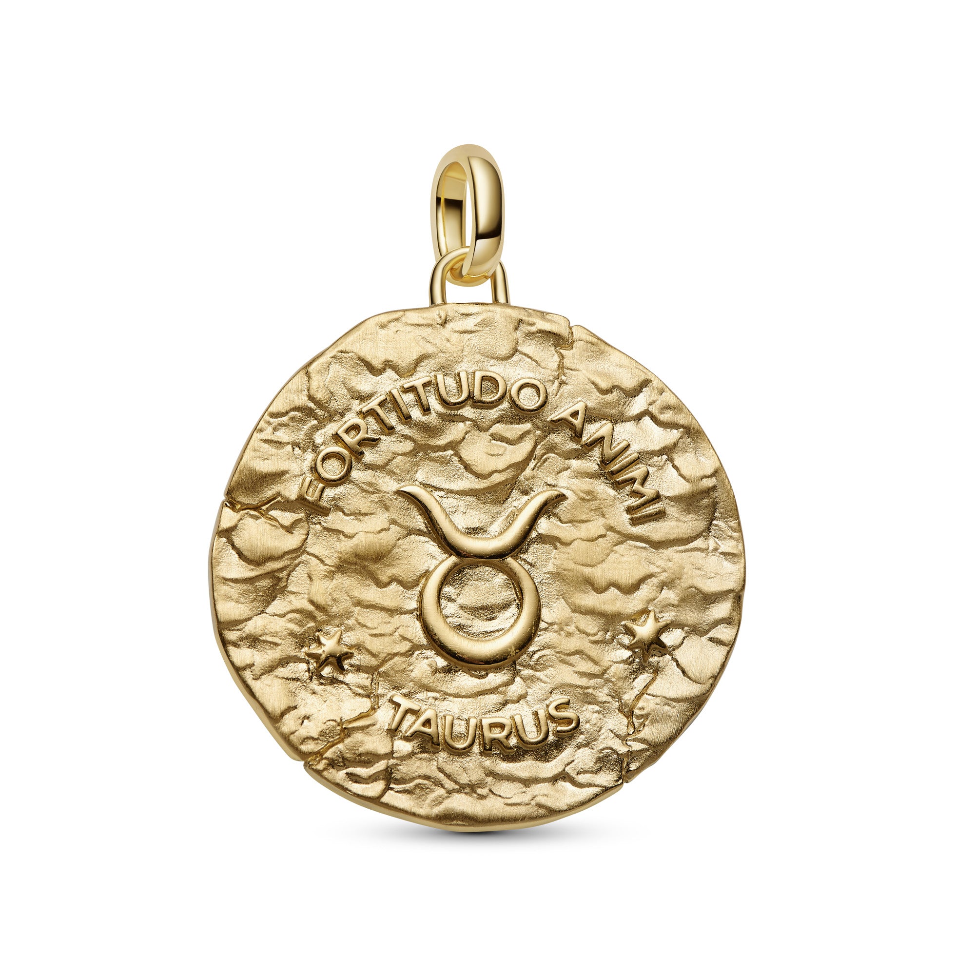 Taurus Zodiac Oversized Medallion Charm