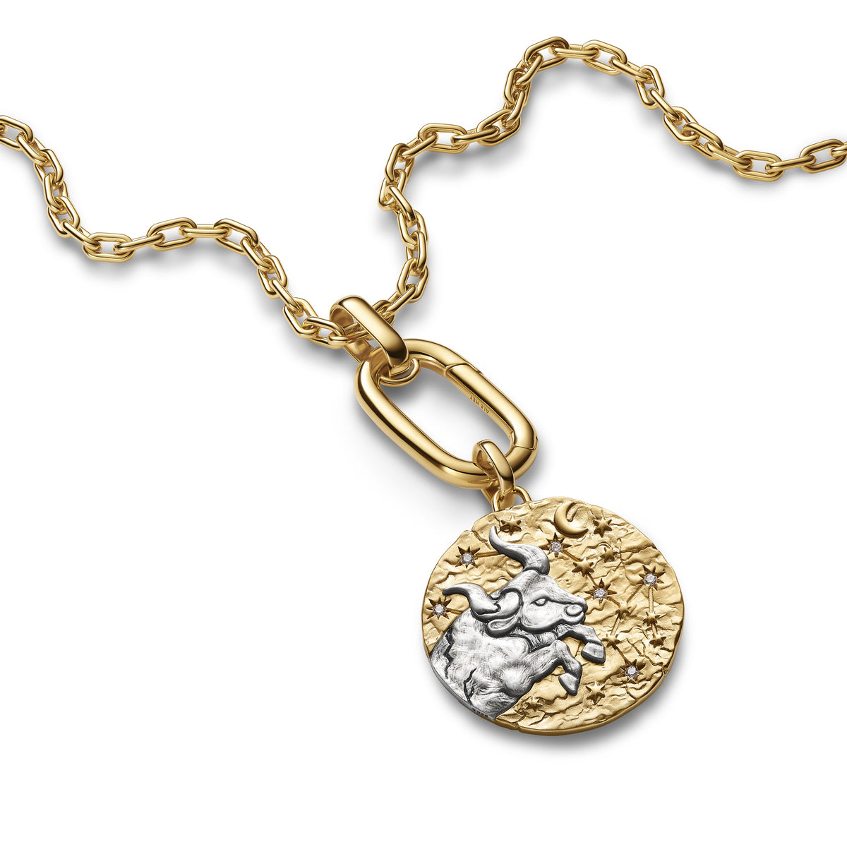 Taurus Zodiac Oversized Medallion Charm