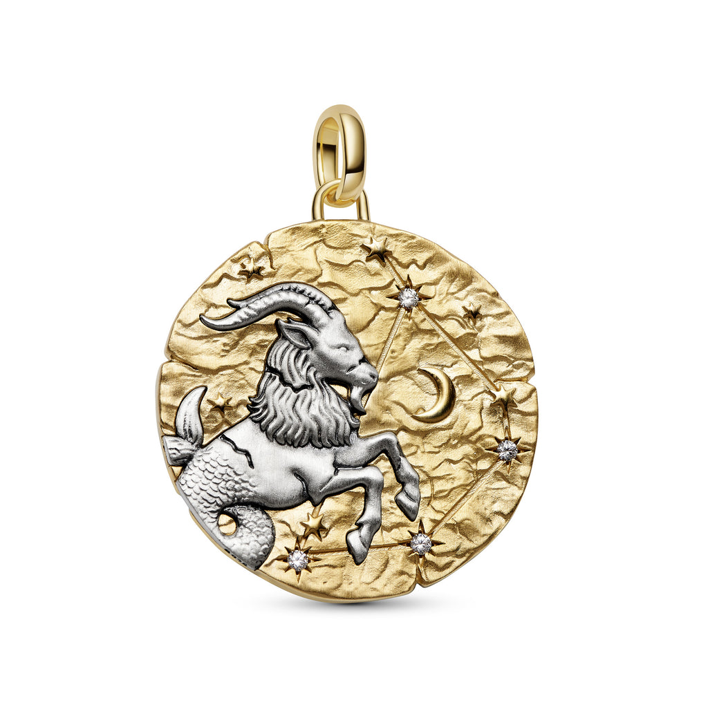 Capricorn Zodiac Oversized Medallion Charm