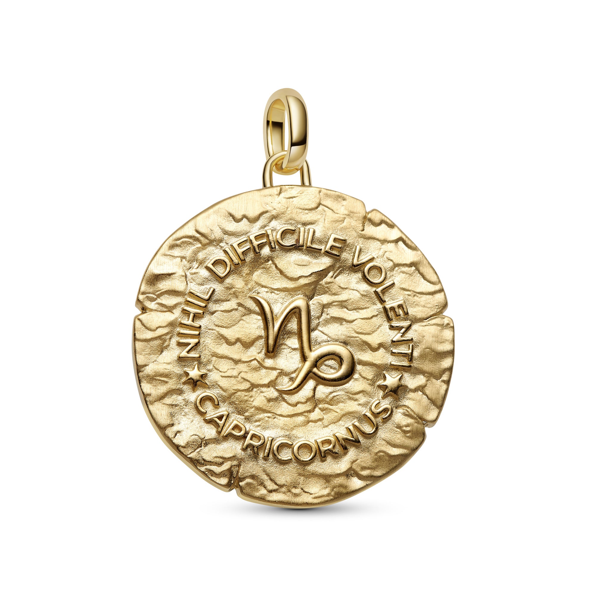 Capricorn Zodiac Oversized Medallion Charm