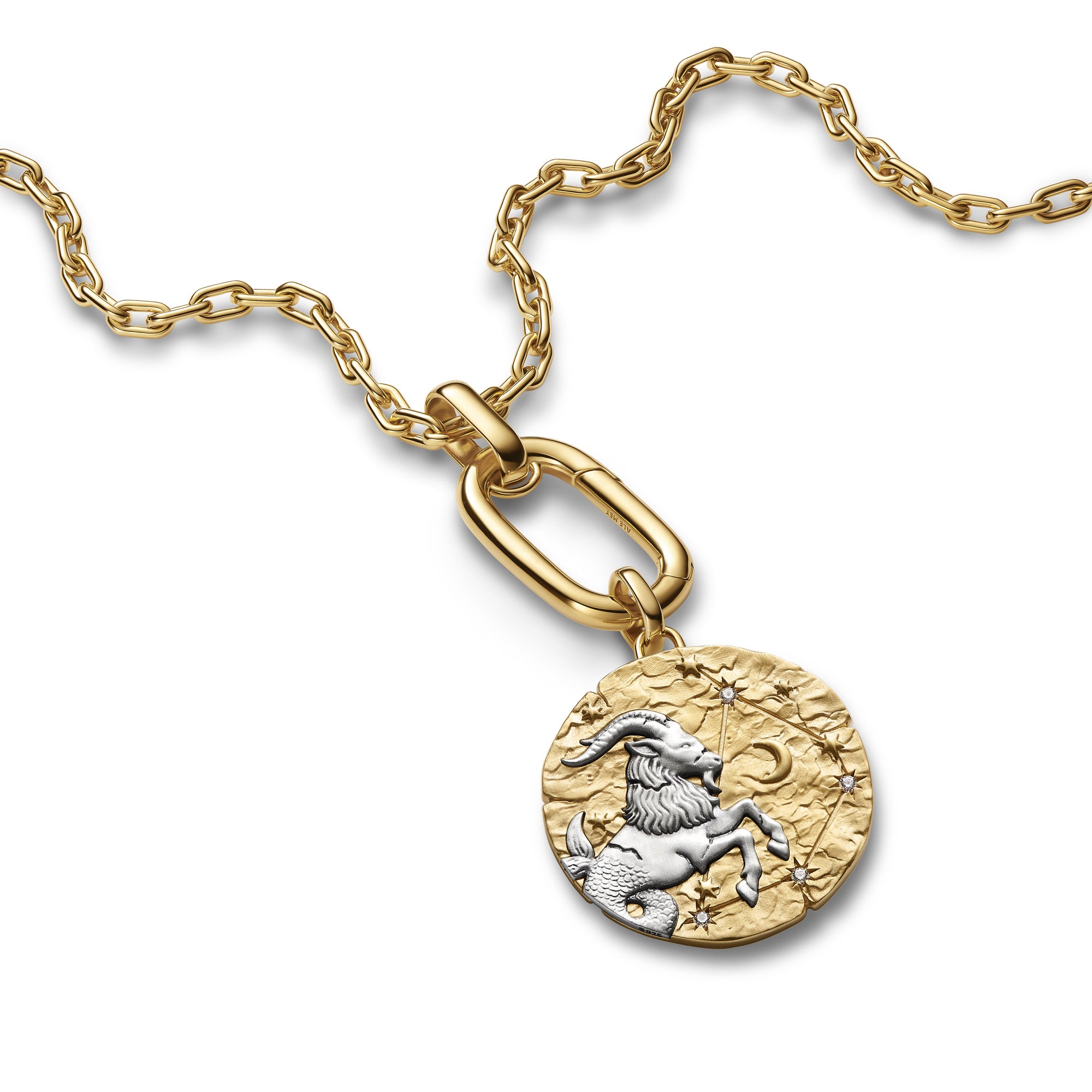 Capricorn Zodiac Oversized Medallion Charm