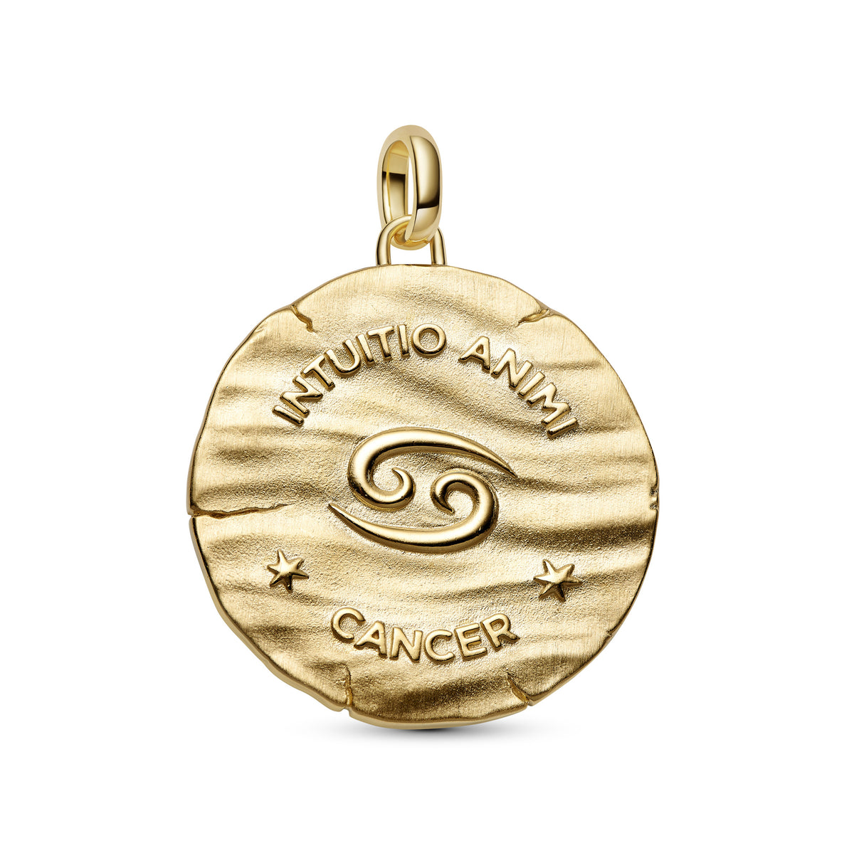 Cancer Zodiac Oversized Medallion Charm