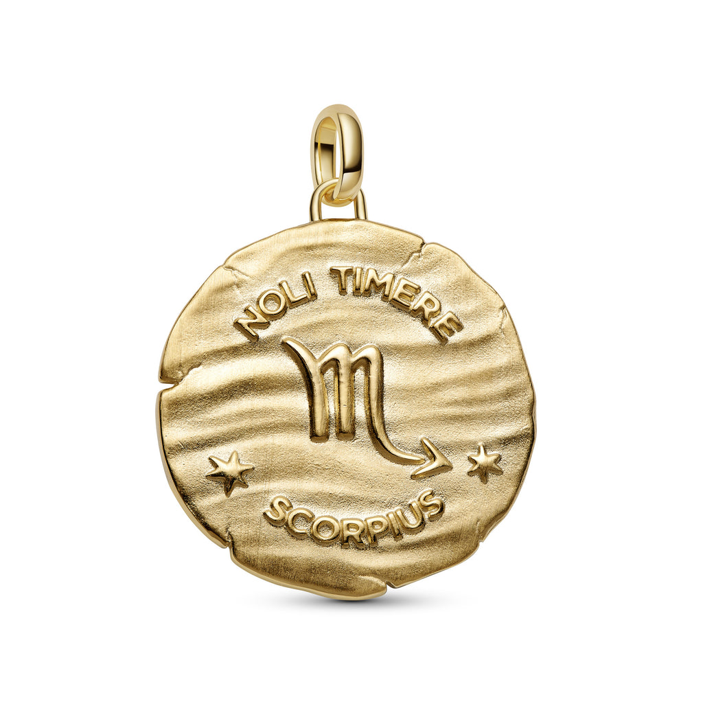 Scorpio Zodiac Oversized Medallion Charm