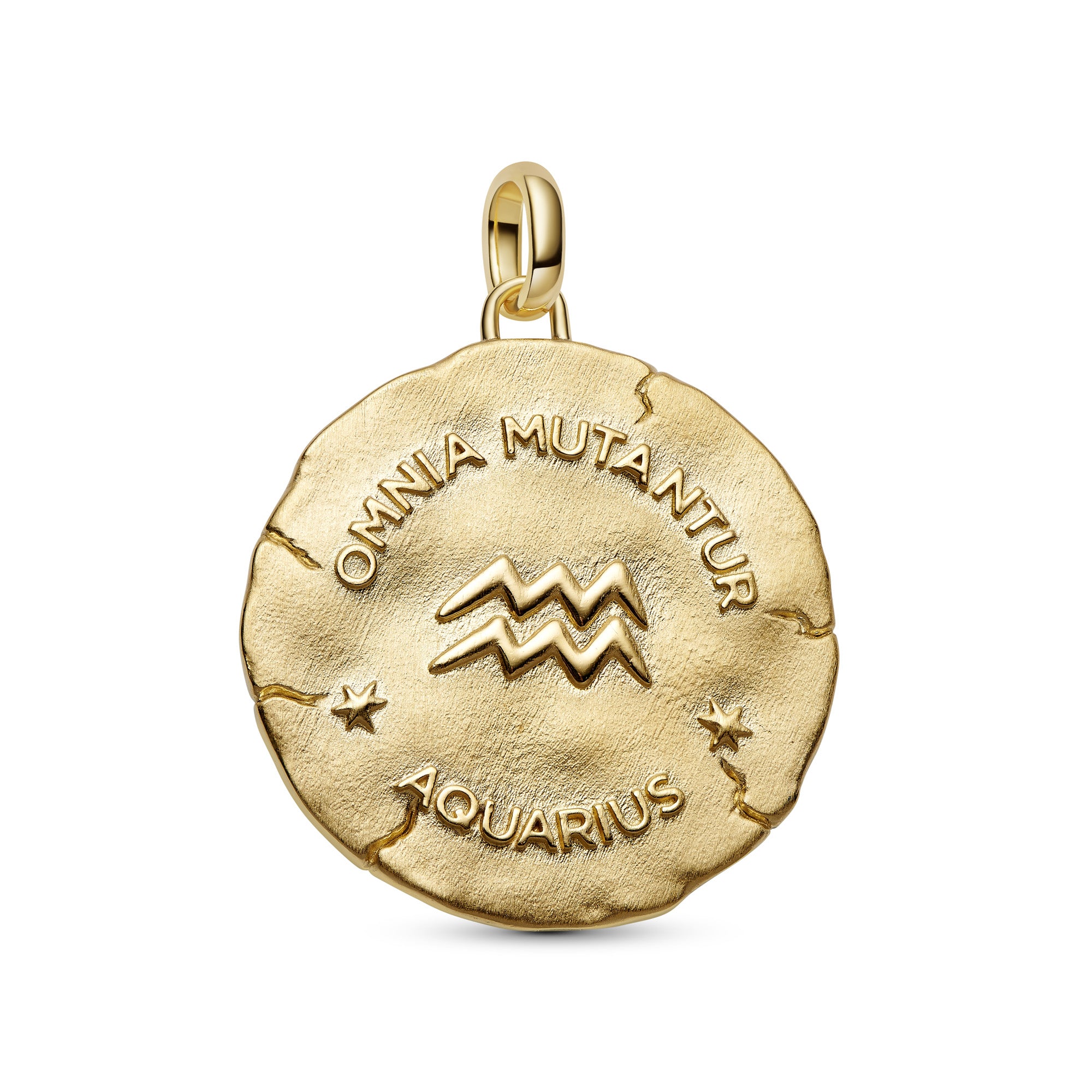 Aquarius Zodiac Oversized Medallion Charm