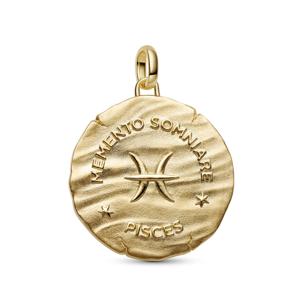 Pisces Zodiac Oversized Medallion Charm