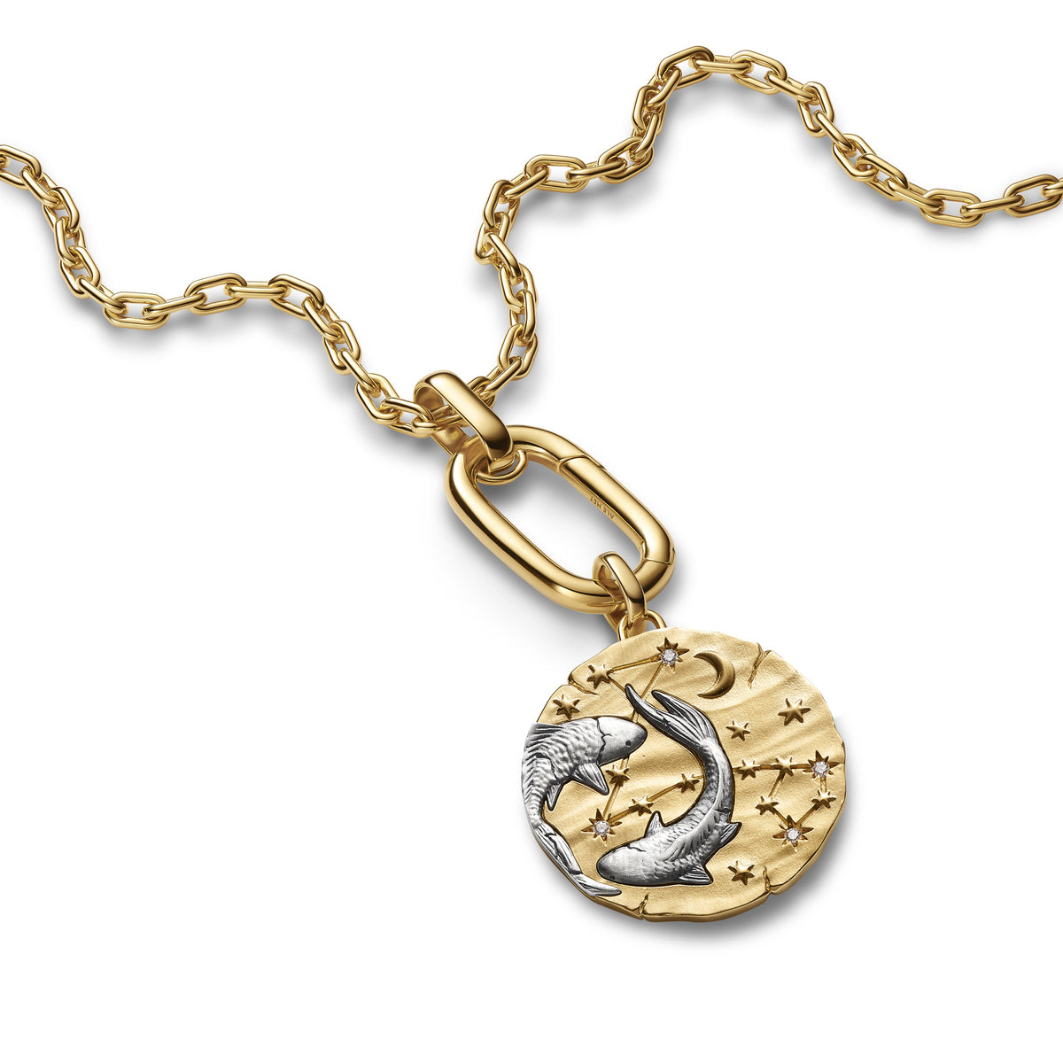Pisces Zodiac Oversized Medallion Charm