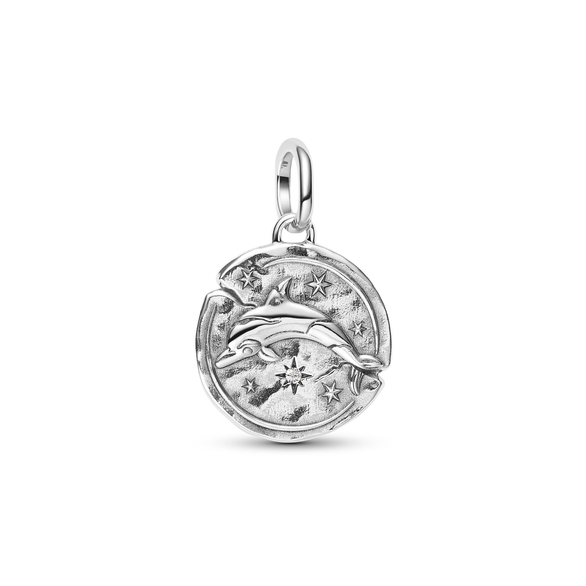 Dolphin Medallion Charm