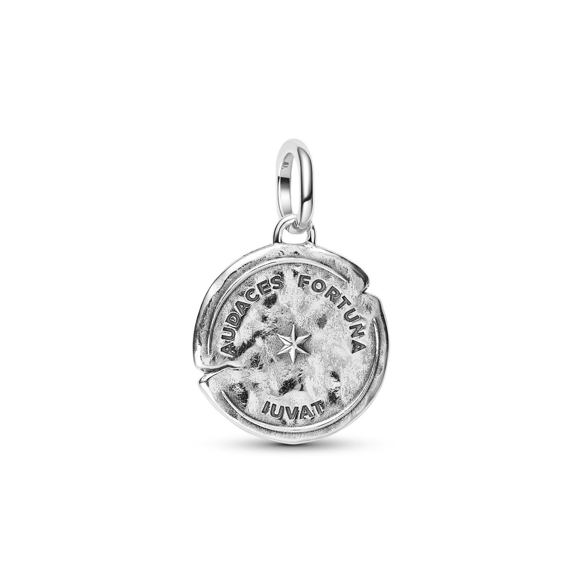 Dolphin Medallion Charm