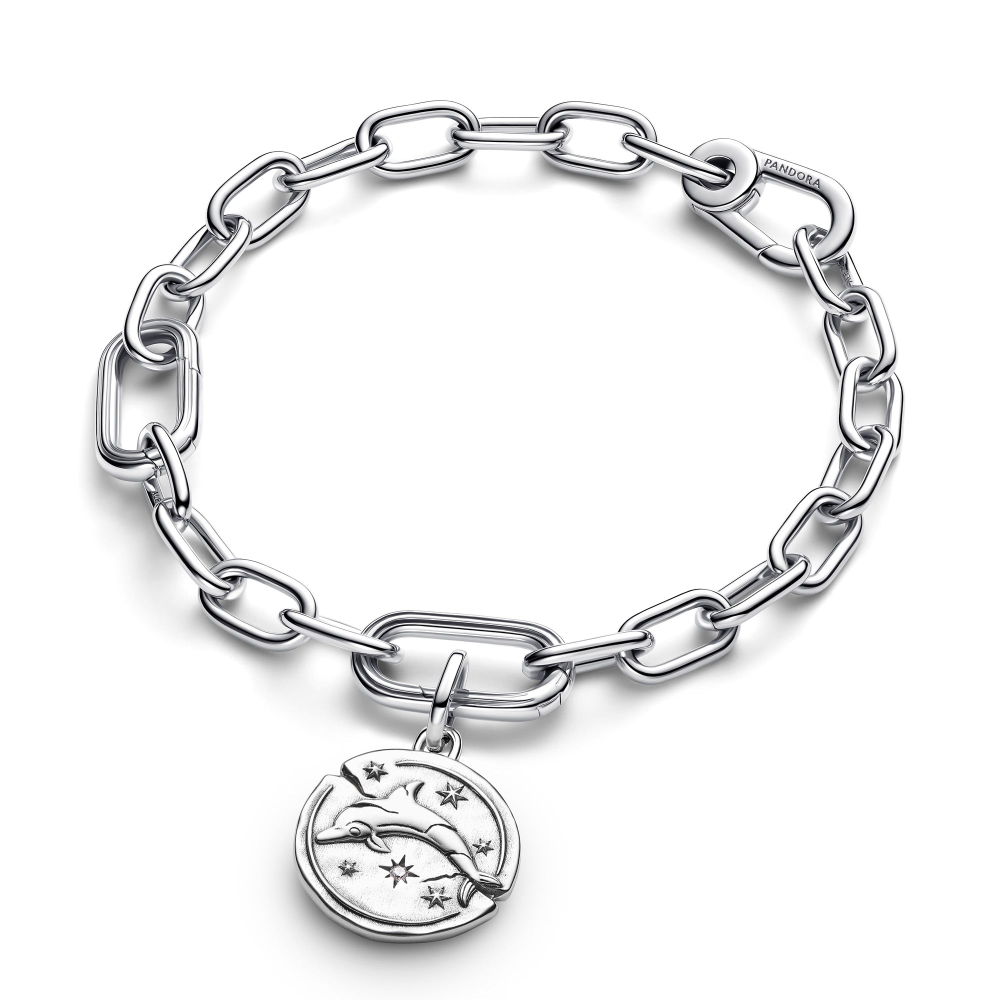 Dolphin Medallion Charm