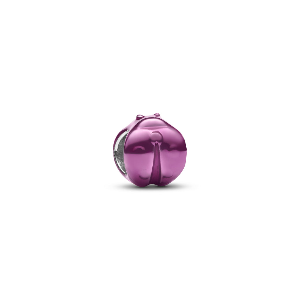 Pink Ladybird Mini Charm