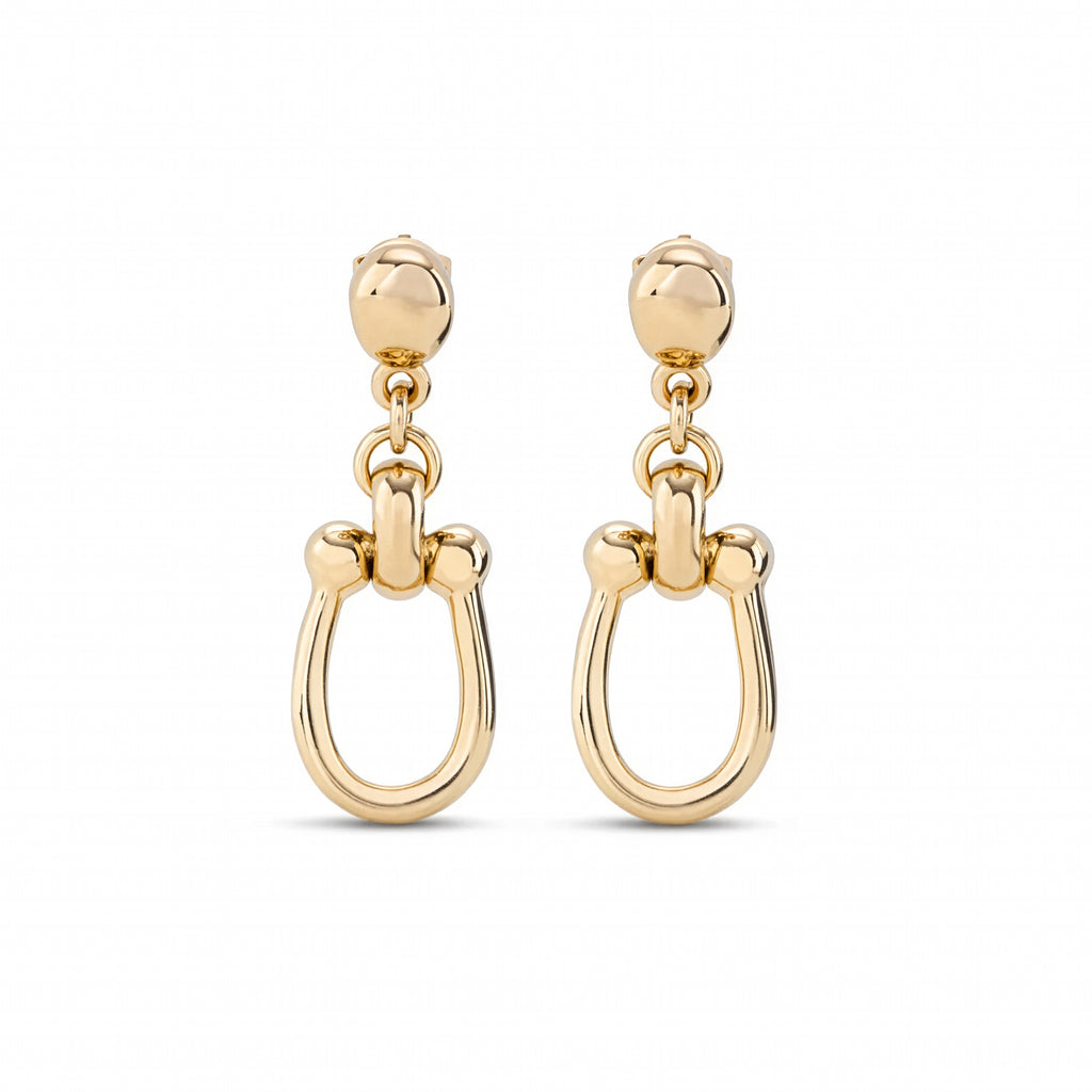 Drop Earrings with Medium Sized Link